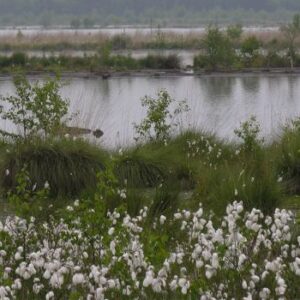 Weltwassertag: GNF und NLSD fordern wirksamen Wasser- und Gewässerschutz